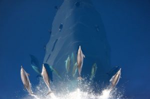 Winner of SeaKing's Crew Photo Contest