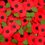 poppy appeal