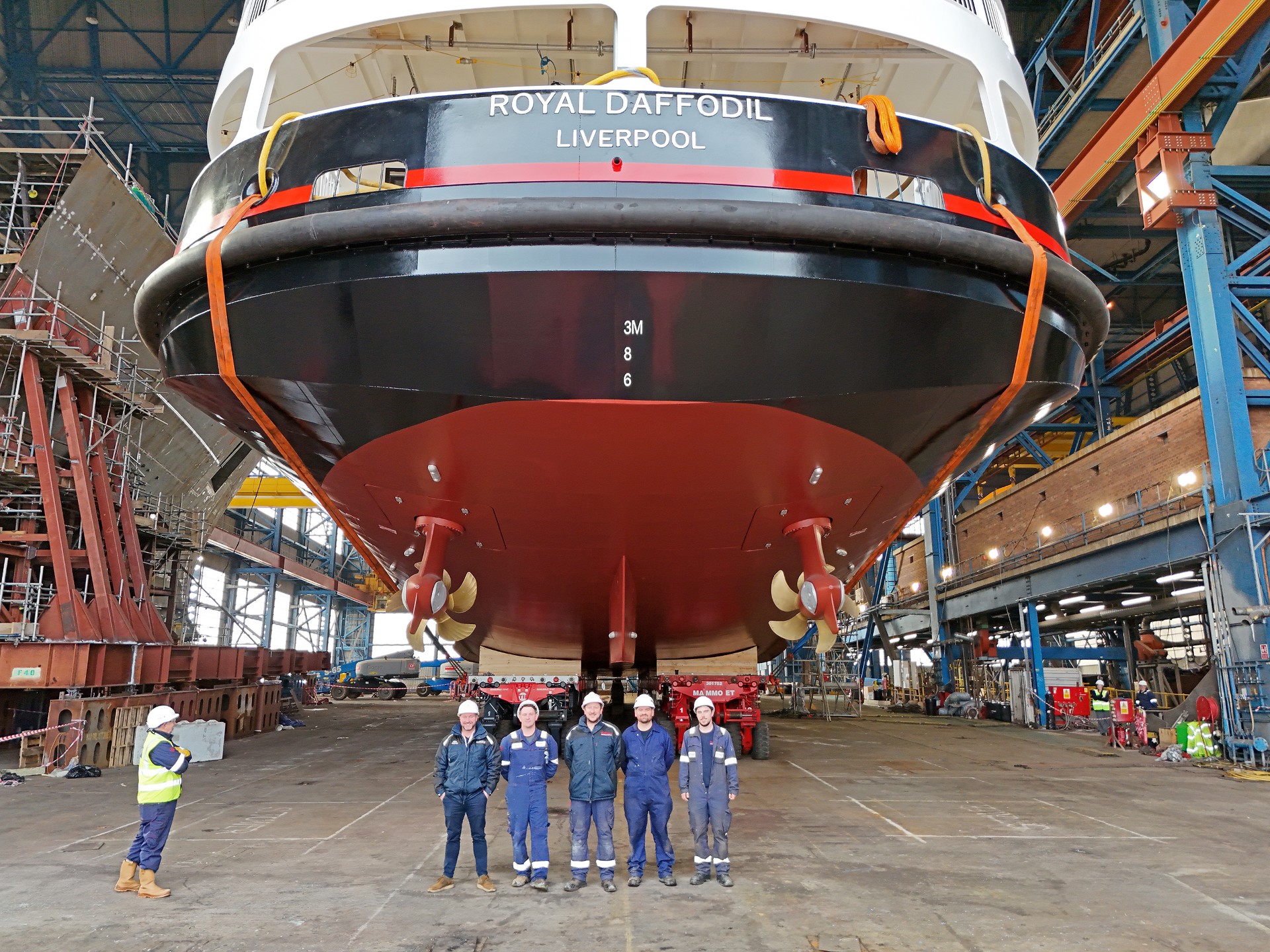 full electrical package-MV Royal Daffodil